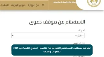 لطريقة سهلتين للاستعلام إلكترونيًا عن تفاصيل الدعوى القضائية 2025 بخطوات واضحة